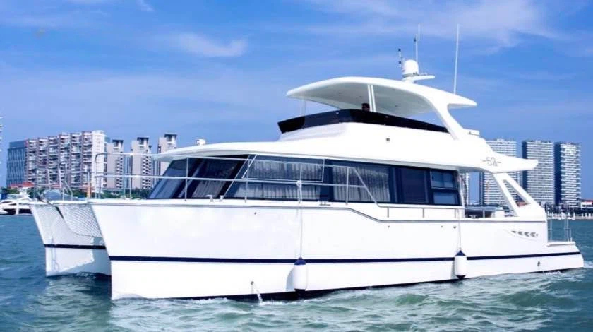 Hansheng 52 Power Cat for sale